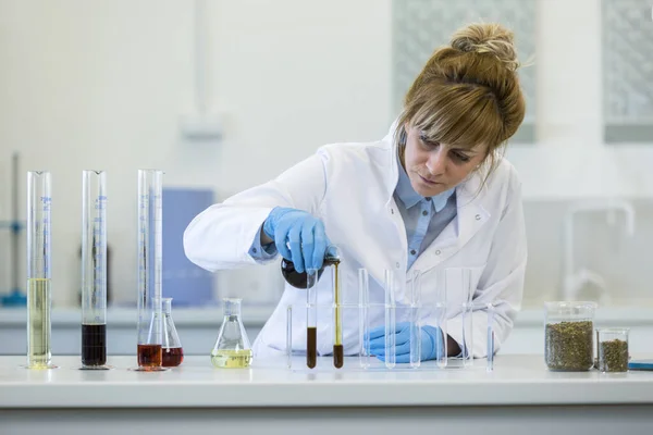 Gözlük takan kadın kimya bilimci laboratuvarda kenevir CBD ve CBDA yağlarıyla çalışıyor. Lateks eldiven, cam tüpler ve erlenmeyer şişeleri kullanıyor. Esrar tohumlarından alınan sağlık hizmetleri eczanesi.