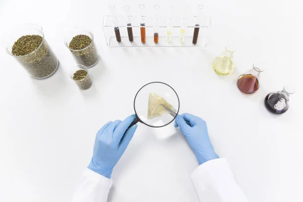 stock image Hands with latex gloves inspecting hemp cbd terpsolate with tweezers and magnifying glass on watch glass in laboratory. Marijuana seeds, CBD and CBDa oils are on table. Healthcare pharmacy concept.