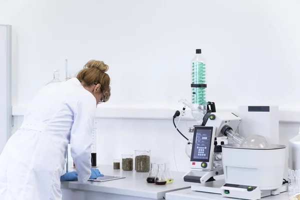 Lastik eldiven takan kimya bilimcisi rotavapor 'daki CBD yağ çıkarımını kontrol ediyor. Makinenin büyük yeşil bir yoğunlaştırıcısı var. Cam tüpler ve kenevir tohumlu bardaklar laboratuvar arka planının bir parçasıdır..