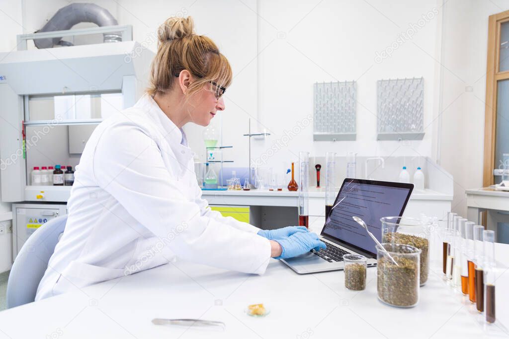 Wide shot of female chemical scientist working on laptop in laboratory. Hemp seeds, CBD and CBDa cbd oils are on table. Healthcare pharmacy cannabis concept.