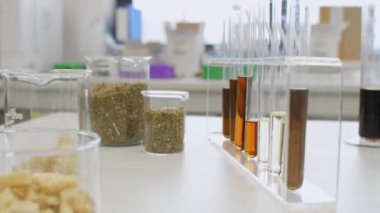 CBD yağı, kenevir tohumu ve terpenler laboratuvar masasında.