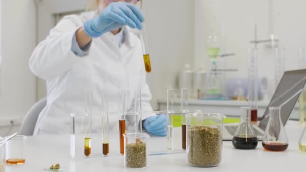 Chemische Wetenschapper Die Met Hennep Cbd Cbda Oliën Laboratorium Werkt — Stockvideo