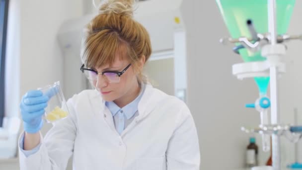 女性化学科学家在实验室中检查Cbd大麻毒蛇晶体 在手表玻璃上放置了大的大麻特普索酸晶体 — 图库视频影像