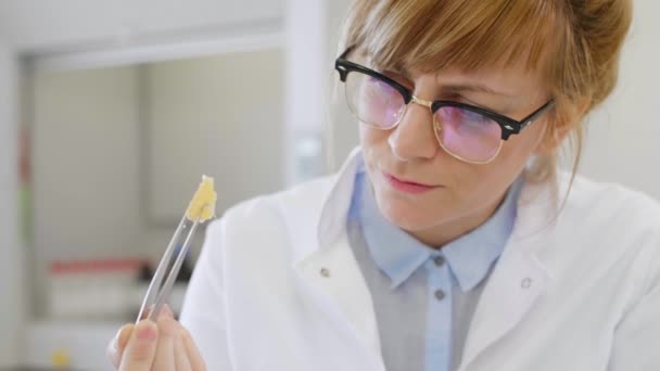 Kvinnlig Kemisk Forskare Inspekterar Cbd Hampa Terpener Kristall Laboratorium Stor — Stockvideo