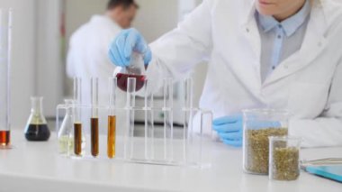 CBD petrolüyle çalışan bilim adamlarına yakın çekim. Laboratuvarda kenevir CBD ve CBDA yağı ile çalışan kimya bilimcilerini kapatın. Erlenmeyer matarası kullanıyor. Esrar eczacılık sağlık hizmeti kavramı.