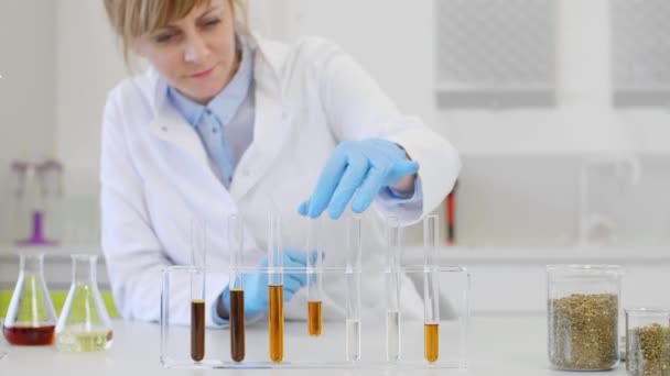 Cbd Petrolüyle Çalışan Bilim Adamlarına Yakın Çekim Laboratuvarda Kenevir Cbd — Stok video
