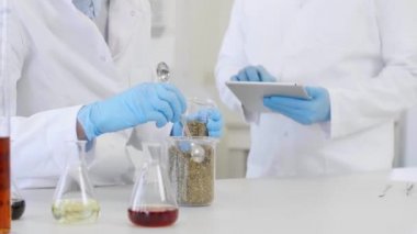 Marihuana ve laboratuvar kaşığıyla çalışan iki bilim adamının kapanışı tabletle sonuç veriyor. Bilim adamları deney sırasında deney kabında marihuana ile çalışıyorlar. CBD ve CBDA yağları ve cam tüpleri masada..