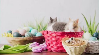 Cute Easter bunnies in basket with colorful eggs and tulips on wooden table. Easter holiday decorations, Easter concept background.