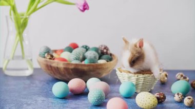 Cute Easter bunny on table with colorful eggs and tulips. Easter holiday decorations, Easter concept background.