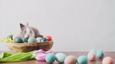 Cute Easter bunny on wooden table with colorful eggs and tulips . Easter holiday decorations, Easter concept background.