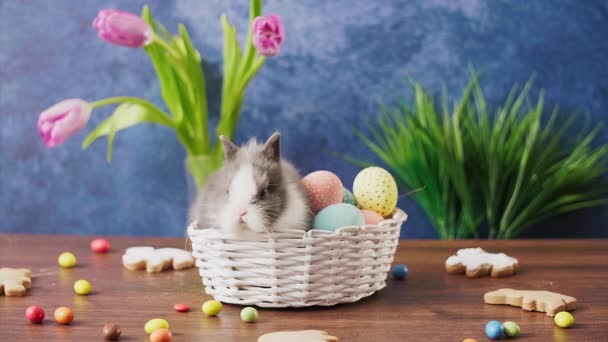 Roztomilý Velikonoční Zajíček Košíku Barevnými Vejci Bonbóny Dřevěném Stole Velikonoční — Stock video