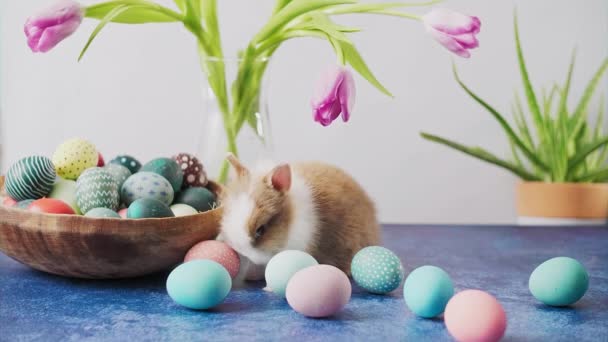 Lindo Conejito Pascua Mesa Con Coloridos Huevos Tulipanes Decoraciones Pascua — Vídeo de stock