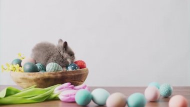 Renkli yumurtalar ve lalelerle ahşap masadaki şirin Paskalya tavşanı. Paskalya tatili süslemeleri.