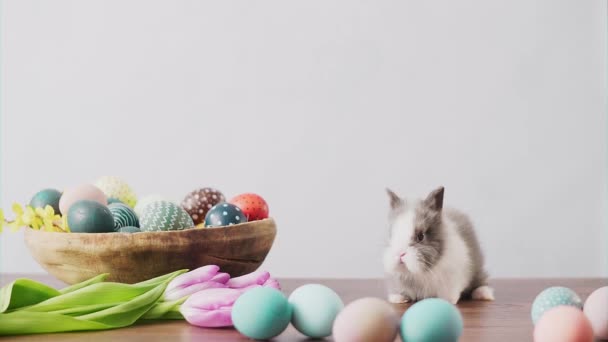 Roztomilý Velikonoční Zajíček Dřevěném Stole Barevnými Vejci Tulipány Velikonoční Sváteční — Stock video