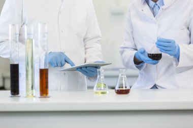 Tıbbi eldivenli eller laboratuvar masasının üzerinde beyaz tablete yazı yazıyor. Kenevir tohumu, marihuana tomurcuğu, CBD ve CBDA yağları masada. Esrar eczacılık sağlık hizmeti kavramı.