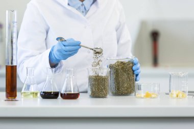 Laboratuvarda deney sırasında marihuana tohumlarıyla çalışan eldiven giyen eller. CBD ve CBDA yağları ve cam tüpler masada ve tablet sırt çantasından. Esrardan alınan sağlık eczanesi.