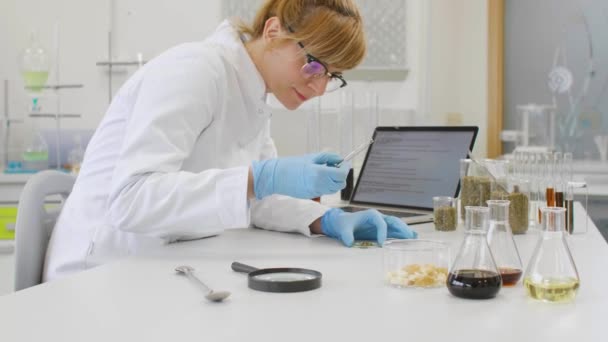 Químico Trabalhando Com Sementes Cânhamo Cbd Laboratório Escrevendo Resultados Laptop — Vídeo de Stock