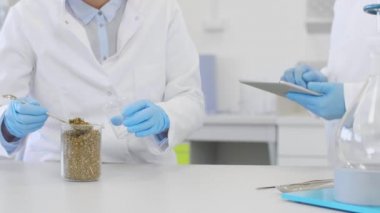Bilim adamları deney sırasında deney kabında marihuana ile çalışıyorlar. CBD ve CBDA yağları ve cam tüpler masada. Esrardan alınan sağlık eczanesi.
