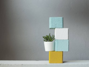 Beyaz tencere ve turkuazda sulu bitki, beyaz ve sarı küp süslemeleri..