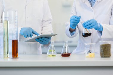 Tıbbi eldivenli eller laboratuvar masasının üzerinde beyaz tablete yazı yazıyor. Kenevir tohumu, marihuana tomurcuğu, CBD ve CBDA yağları masada. Esrar eczacılık sağlık hizmeti kavramı.