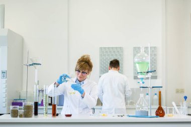 Gözlük takan kadın kimya bilimci laboratuvarda kenevir CBD ve CBDA yağlarıyla çalışıyor. Lateks eldiven, cam tüpler ve erlenmeyer şişeleri kullanıyor. Esrar tohumlarından alınan sağlık hizmetleri eczanesi.