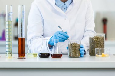 Laboratuvarda deney sırasında marihuana tohumlarıyla çalışan eldiven giyen eller. CBD ve CBDA yağları ve cam tüpler masada ve tablet sırt çantasından. Esrardan alınan sağlık eczanesi.