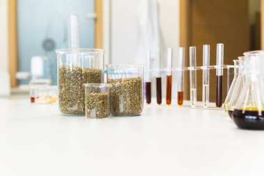 Laboratuar masasında içi marihuana tohumları ve arka planda CBD ve CBDA yağlarıyla dolu camları kapatın. Tıbbi esrar kaynaklı sağlık eczanesi.