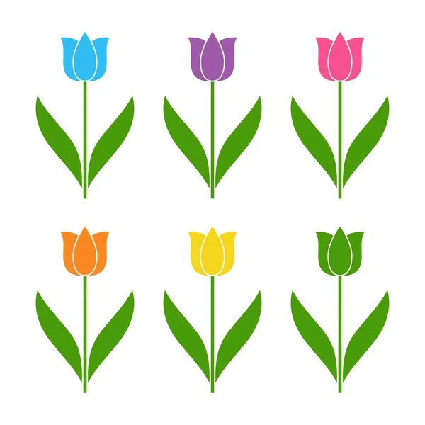 白い背景に平らなアイコンチューリップが咲きます。3月8日。女性の春の日. — ストックベクタ