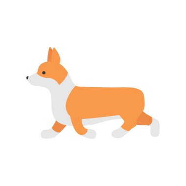 Çizgi film Karakteri Welsh Corgi Çalışma Evcil Hayvan Konsepti Düz Tasarım Biçimi Beyaz arkaplan üzerinde izole