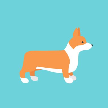 Şirin köpek Welsh Corgi. Komik Corgi vektör çizimi. Mavi arka planda bir köpeğin portresi
