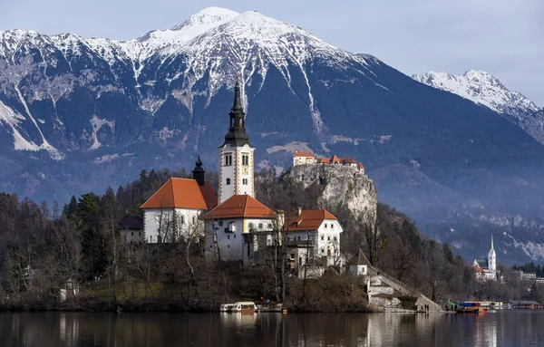 Bled, Słowenia - Panoramiczny widok na wyspę w jeziorze Bled z — Zdjęcie stockowe