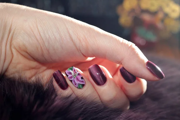 Exclusive nail designs in the color of the fur — Stock Photo, Image