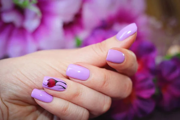 The design of nails spring style — Stock Photo, Image
