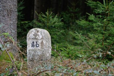 Ormandaki Simgesel Yapı