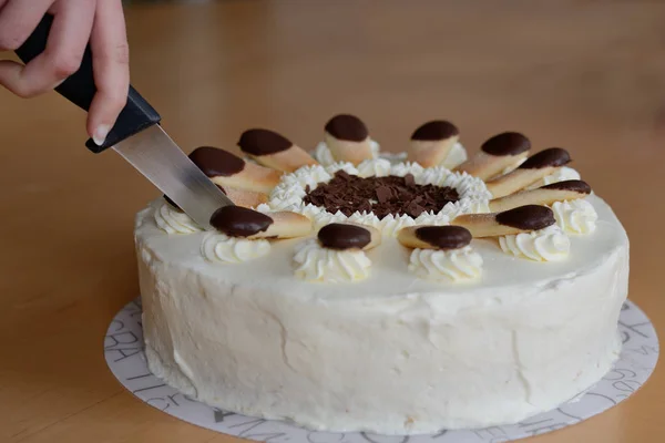 Torta Malakoff se corta en pedazos — Foto de Stock