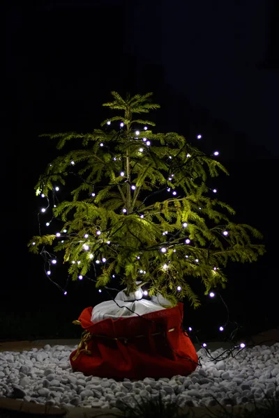 Mit LED beleuchtetem Weihnachtsbaum - Dekoration — Stockfoto