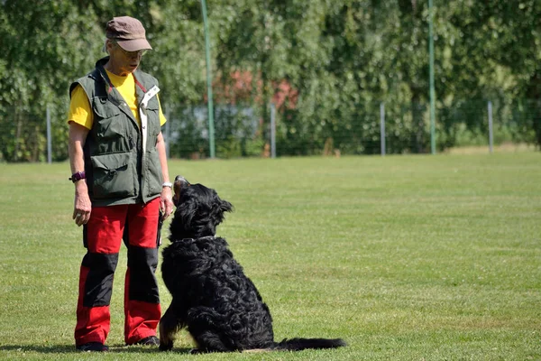 Perro sentado frente a entrenador de perros — Foto de Stock