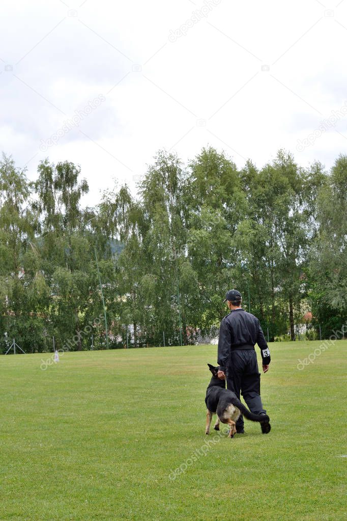 Dog walks with dog trainer
