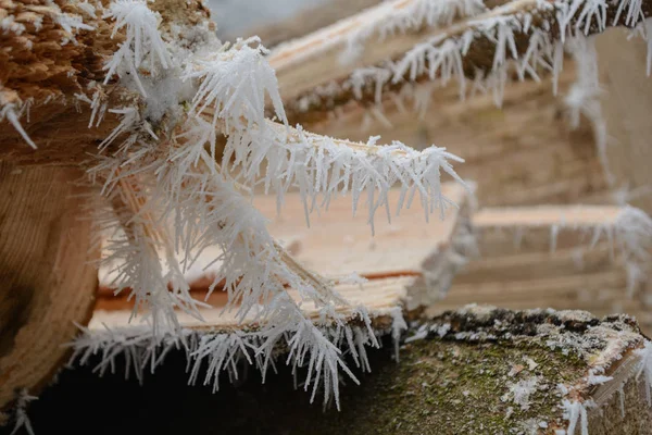 Kryształy lodu na pniu drzewa-szron — Zdjęcie stockowe