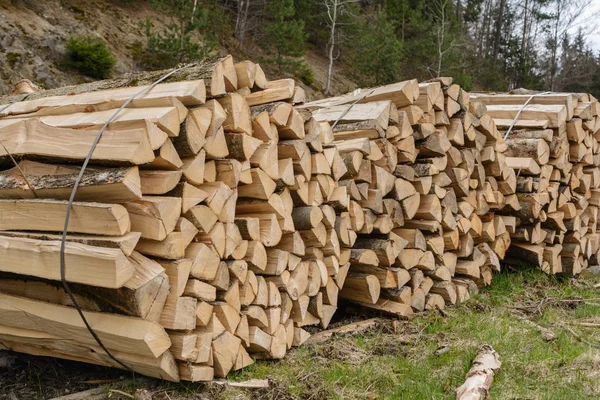 Leña en paquete: energía respetuosa con el medio ambiente — Foto de Stock