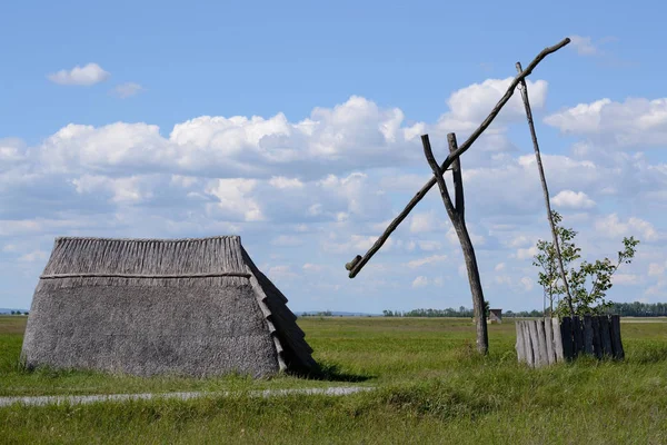 Gamla reed hut och vattenpump — Stockfoto