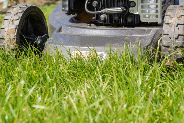 Rumput dengan mesin pemotong rumput - detail — Stok Foto