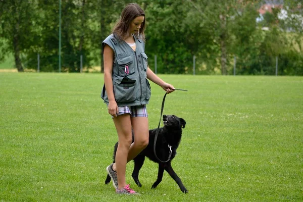 Adolescentes con su perro — Foto de Stock