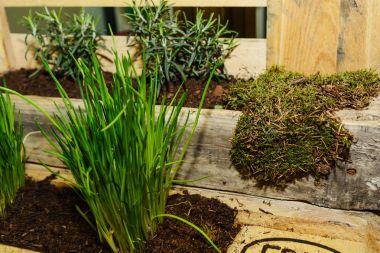 Herb Bahçe ahşap paletinin - yakın çekim