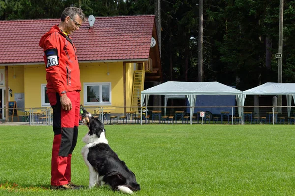 Entrenador de perros permite perro recuperar — Foto de Stock