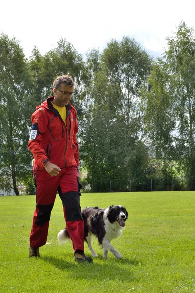 Border Collie obediente sin una pista — Foto de Stock