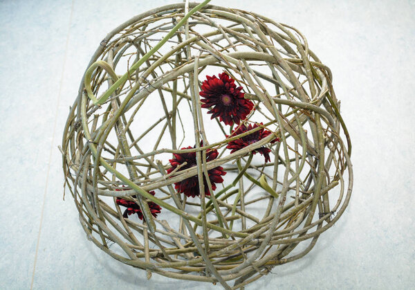 Гербера в ивовом шаре
