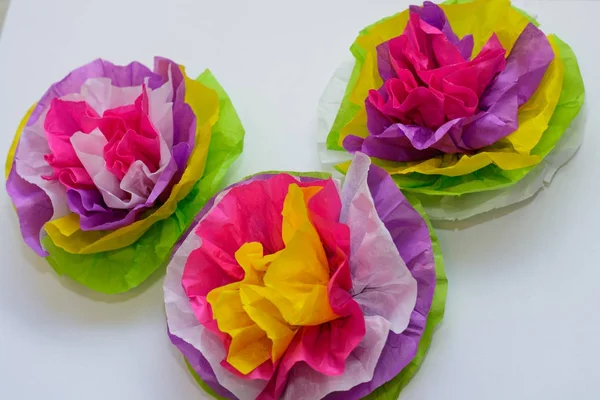Tre colorati fiori di carta velina — Foto Stock
