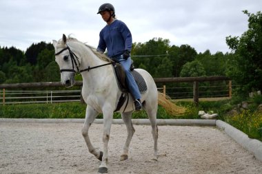 Turnuva binici trenler Arap atı ile