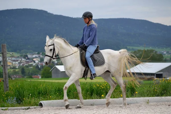 Equitación en el campo de entrenamiento — Foto de Stock